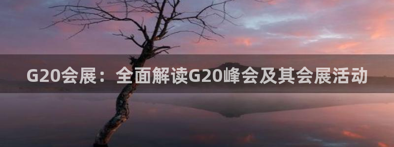 果博客服联系电话：G20会展：全面解读G20峰会及其会展活动