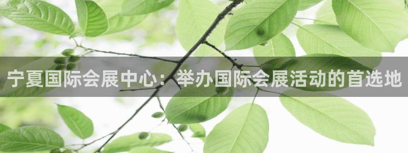 果博平台真实吗安全吗可信吗是真的吗：宁夏