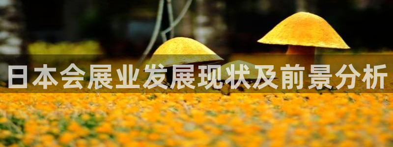 果博公司客服电话多少：日本会展业发展现状