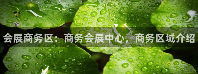 果博公司开户注册：会展商务区：商务会展中