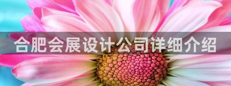 果博电话