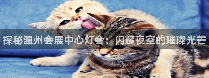 果博app官网下载