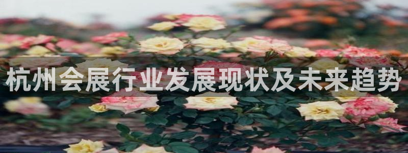 果博注册充值怎么充