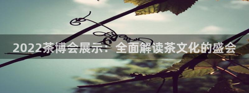 苹果电脑可以下载博易大师吗