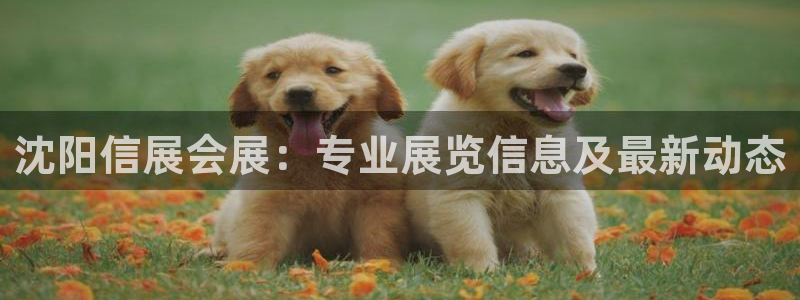 果博公司会员注册账号开户