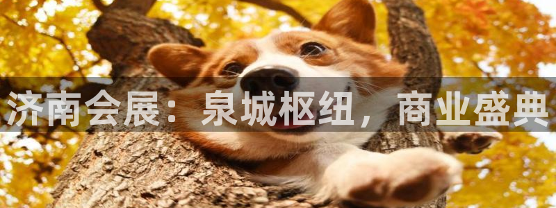 果博注册会员多少钱