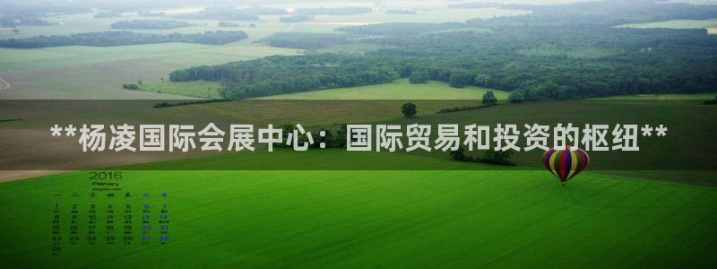 果博公司