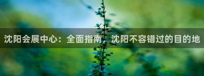 果博客服微信是多少