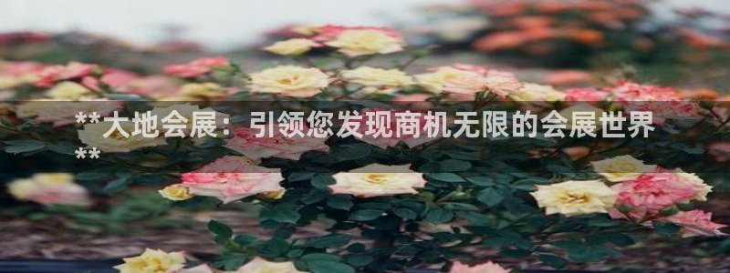 果博平台真实吗