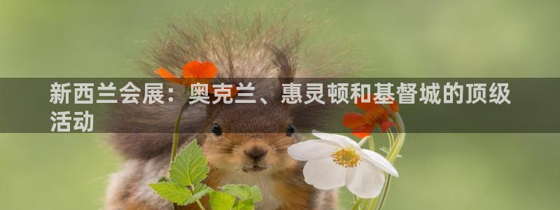 果博官方网