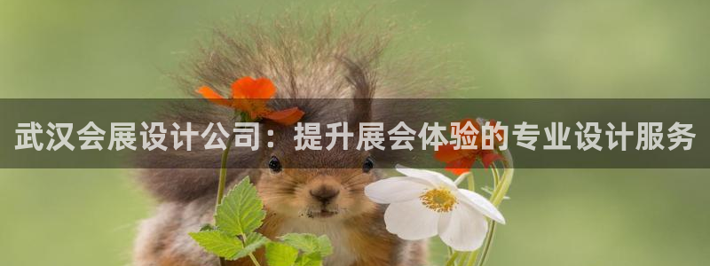 果博官方网