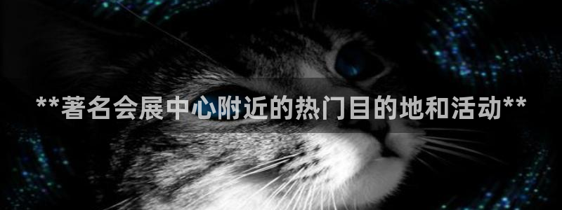 苹果电脑怎么下载伯索
