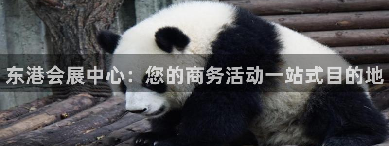 果博环保公司