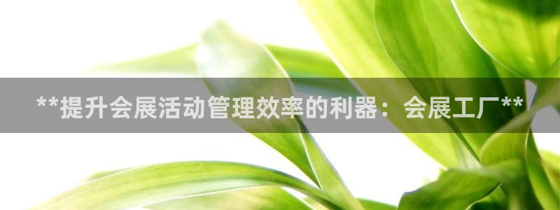 苹果电脑怎么下载伯索：**提升会展活动管