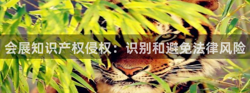 果博公司会员注册账号开户：会展知识产权侵权：识别和避免法律风险