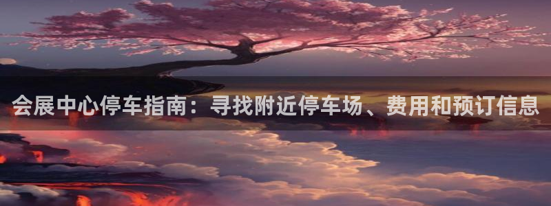 果博是怎么登录的：会展中心停车指南：寻找