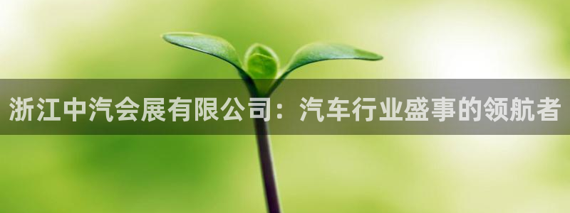 果博公司在线客服：浙江中汽会展有限公司：汽车行业盛事的领航者