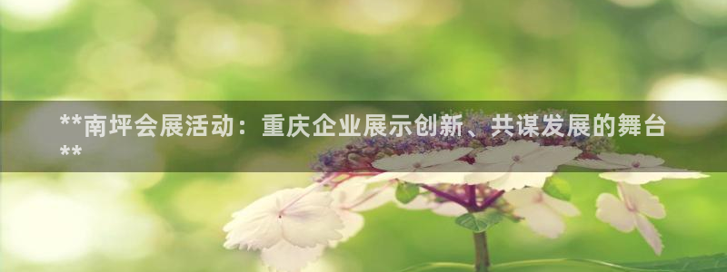 苹果电脑可以下载博易大师吗：**南坪会展活动：重庆企业展示创新、共谋发展的舞台
**