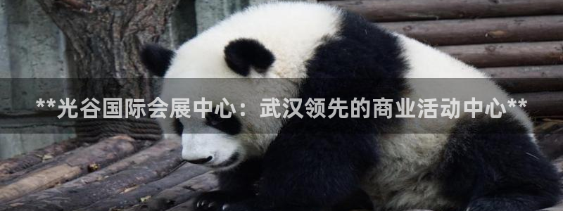 果博平台真实吗：**光谷国际会展中心：武汉领先的商业活动中心**