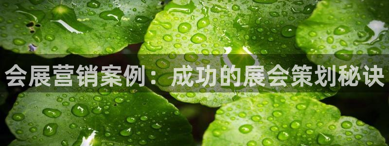 苹果电脑怎么下载博弈大师等软件