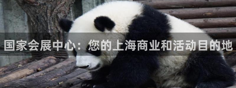 果博公司联系电话：国家会展中心：您的上海商业和活动目的地