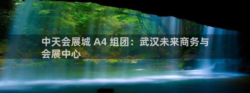 果博官网在银博：中天会展城 A4 组团：