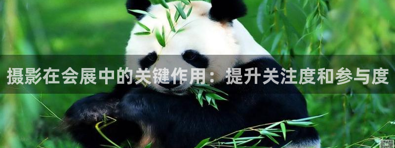 果博服务电话