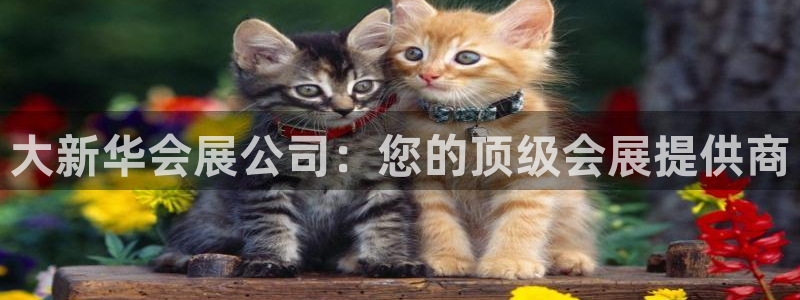 果博官网客服：大新华会展公司：您的顶级会