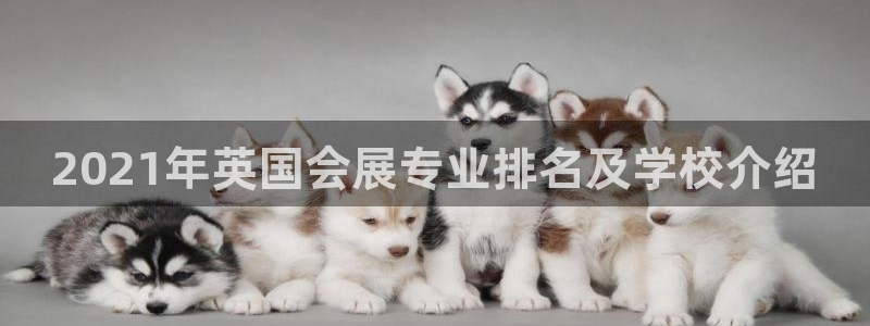 果博平台客服电话：2021年英国会展专业排名及学校介绍