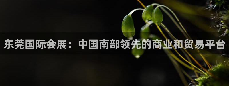 电脑怎么下载果考网：东莞国际会展：中国南