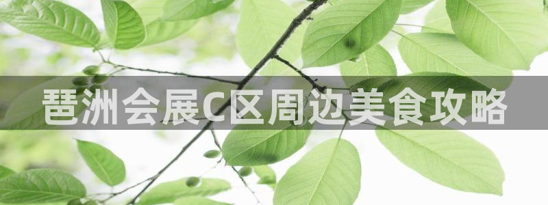 果博平台怎么下载?