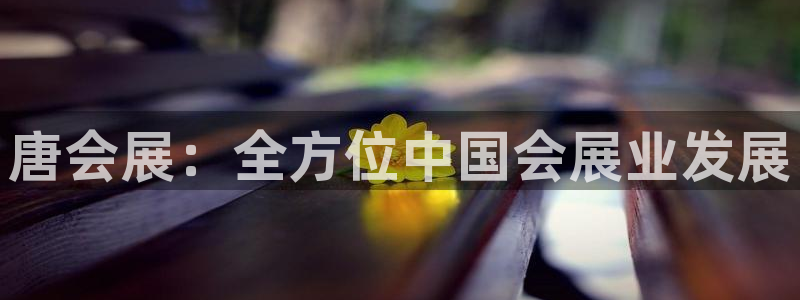 果博公司客服微信怎么加：唐会展：全方位中国会展业发展