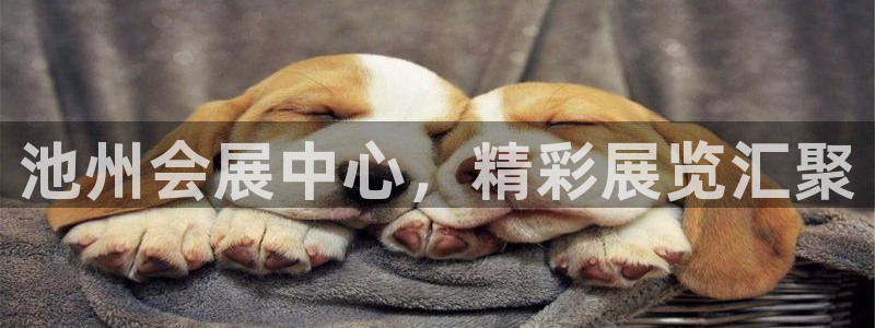 果博公司客服电话多少