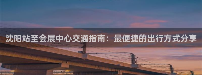 果博平台苹果电脑怎么下载：沈阳站至会展中心交通指南：最便捷的出行方式分享