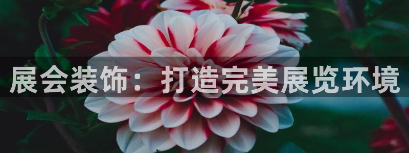 果博公司注册