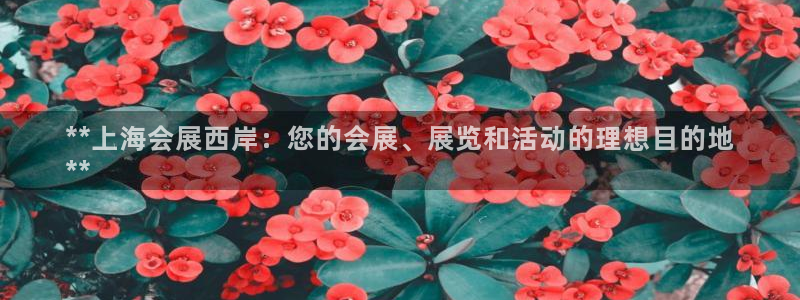 果博公司在线客服：**上海会展西岸：您的