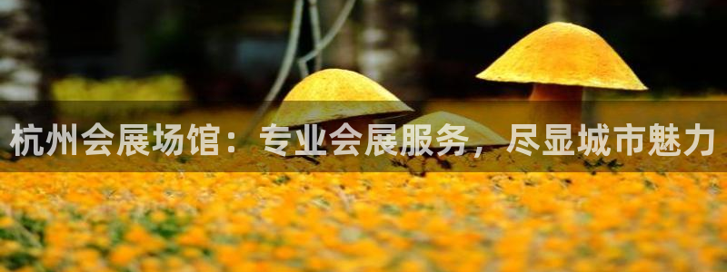 果博公司客服微信号是多少：杭州会展场馆：专业会展服务，尽显城市魅力