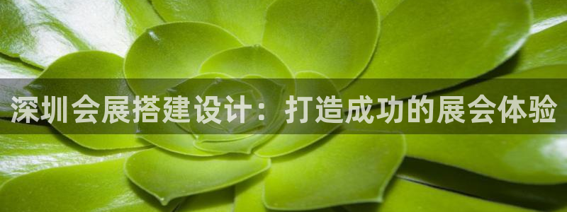 果博平台开户电话是多少：深圳会展搭建设计：打造成功的展会体验