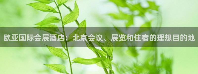 果博注册充值怎么退款