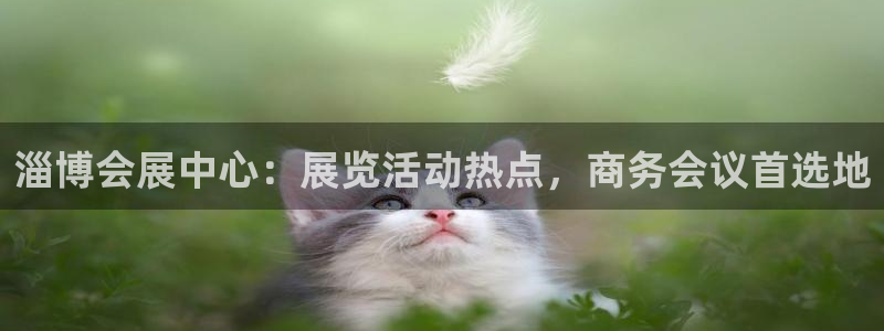 果博代理网：淄博会展中心：展览活动热点，商务会议首选地