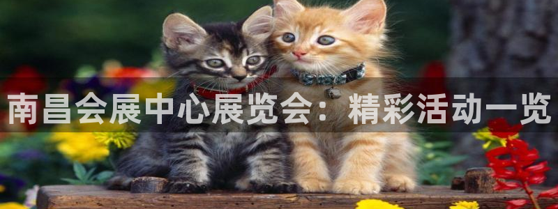 果博注册：南昌会展中心展览会：精彩活动一览