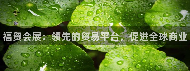 果博公司客服微信怎么加：福贸会展：领先的贸易平台，促进全球商业
