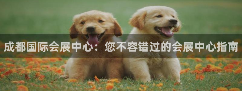 果博上分电话：成都国际会展中心：您不容错过的会展中心指南