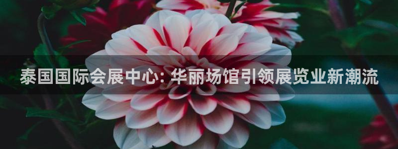 果博公司开户：泰国国际会展中心: 华丽场馆引领展览业新潮流
