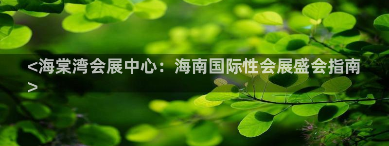 果博平台开户电话号码：<海棠湾会展中心：海南国际性会展盛会指南
>