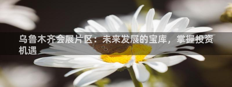 果博注册客服电话：乌鲁木齐会展片区：未来