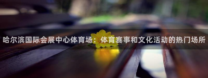 果博服务电话