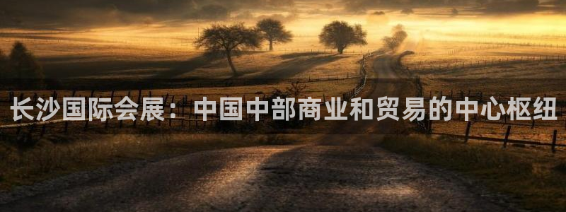 手机怎样下载果博：长沙国际会展：中国中部商业和贸易的中心枢纽
