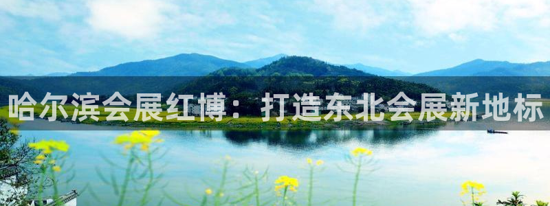 果博代理网