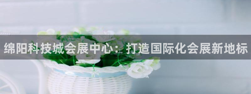 果博公司会员怎么开户